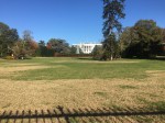 IMG_3835