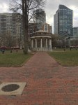 IMG_5433