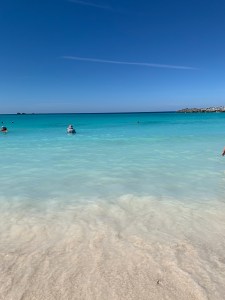 IMG_0410