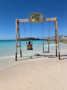 IMG_0451