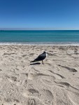 IMG_1593